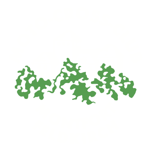 MCCM Feldkirch