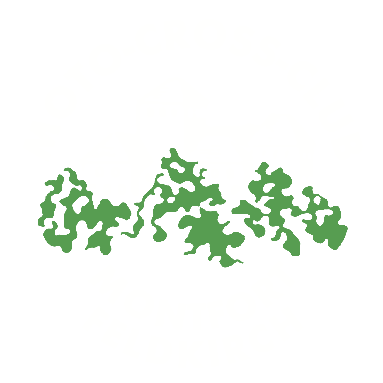 MCCM Feldkirch